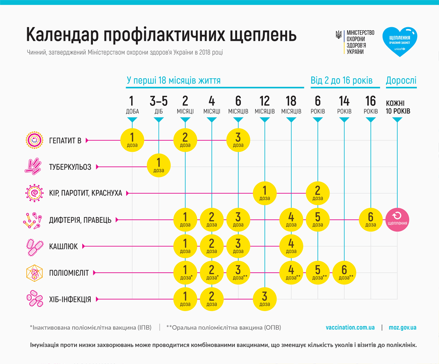 Проведення вакцинації відповідно до календаря щеплень